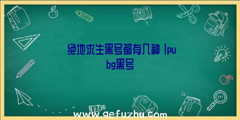 「绝地求生黑号都有几种」|pubg黑号